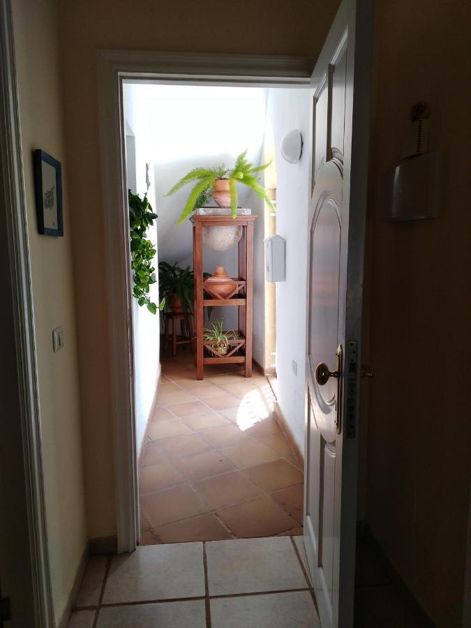 Apto. Pina De Mar Costa Adeje  Exterior foto